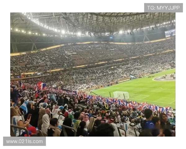 世界杯决赛门票涨至10990美元 球迷抢票遭遇困境 世界杯决赛门票涨至10990美元 球迷抢票遭遇困境